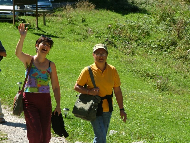 a864.jpg