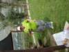 dsc00469_small.jpg