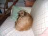 dscf2026_small.jpg
