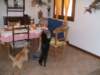 dscf2035_small.jpg