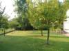 dscf2038_small.jpg