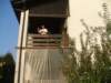 dscf2039_small.jpg