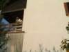 dscf2040_small.jpg