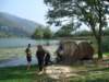 dscf2235_small.jpg