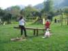 dscf2243_small.jpg
