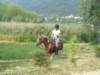 dscf2256_small.jpg