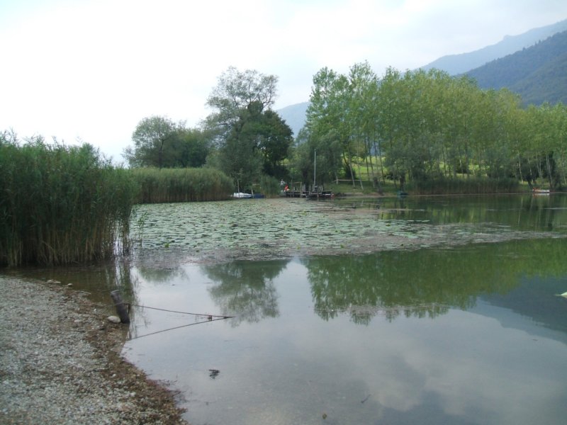dscf2265.jpg