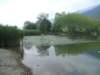 dscf2265_small.jpg
