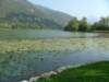 dscf3421_small.jpg