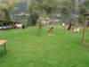 dscn0629_small.jpg