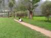 dscn0656_small.jpg