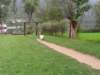 dscn0659_small.jpg