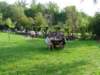 dscn0694_small.jpg