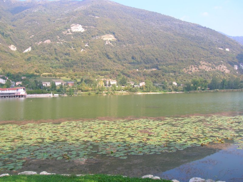 dscn5047.jpg