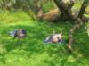 dscn5066_small.jpg