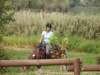 pict0480_small.jpg
