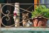 jb063_small.jpg